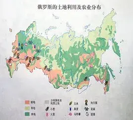 普京催生:每家必須至少有2個(gè)孩子