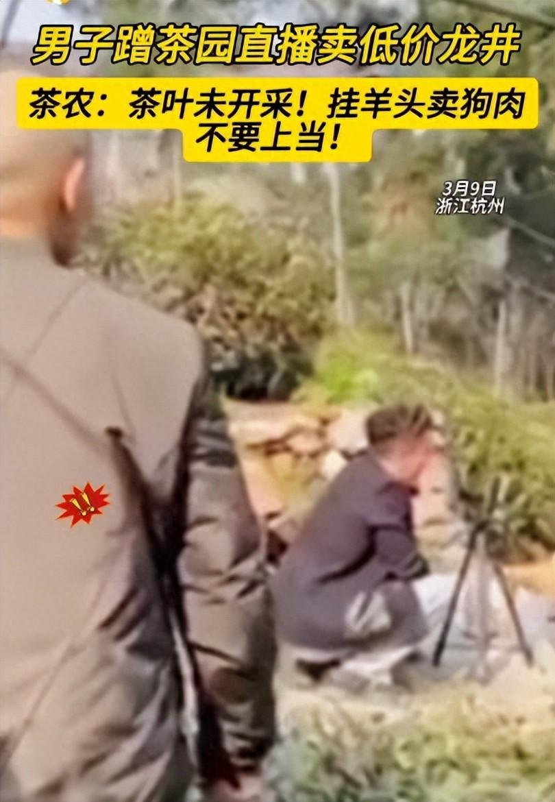 茶農(nóng)怒斥2男子偷進(jìn)茶園直播賣低價(jià)茶