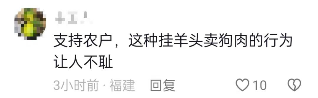 茶農(nóng)怒斥2男子偷進(jìn)茶園直播賣低價(jià)茶