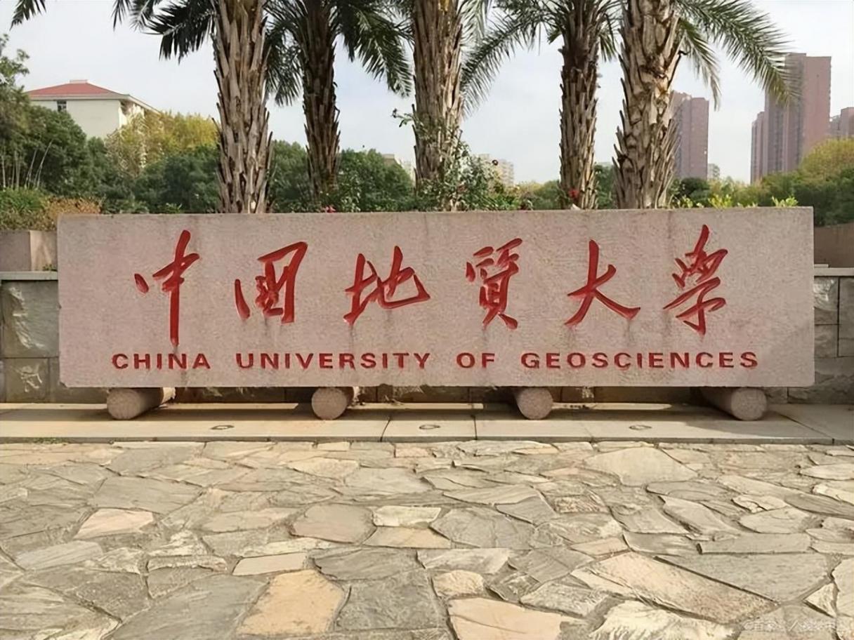 中國(guó)地質(zhì)大學(xué)回應(yīng)教授疑用AI寫(xiě)論文