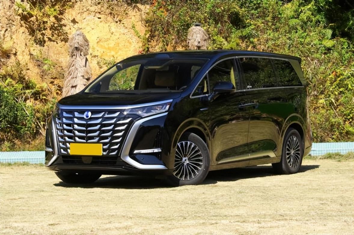 2024全年MPV批發銷量揭曉!新能源崛起,燃油車“冰火兩重天”