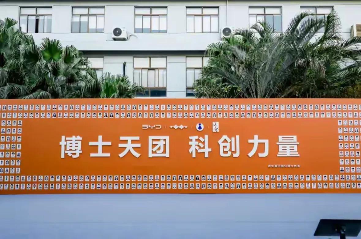 2025智能化發(fā)展更全面,比亞迪技術(shù)創(chuàng)新力如何增強(qiáng)?